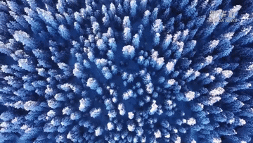 纪录片｜冰雪耀中国(图7)